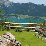 Seestern