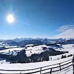 Seestern * Strobl