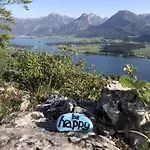 Seestern
