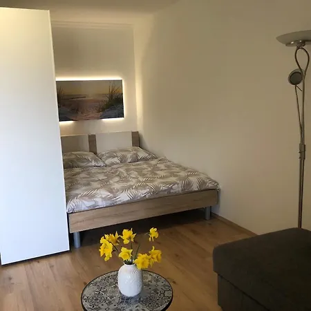 Seestern 스트로블