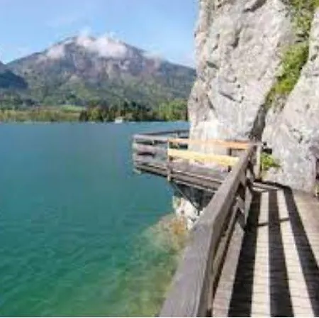 Seestern Strobl